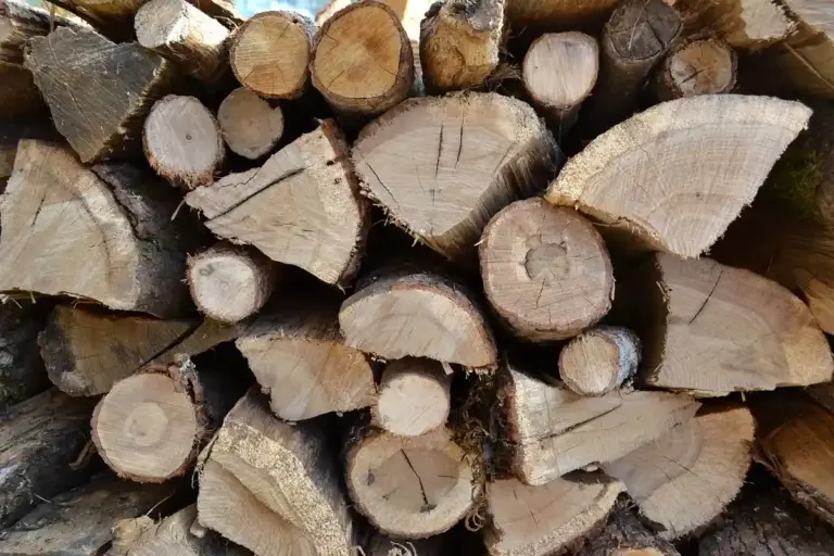 A close-up view of neatly stacked cut firewood logs in a pile.