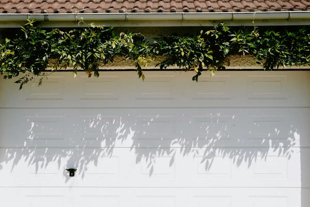 White garage door with shadows of overhanging green vines