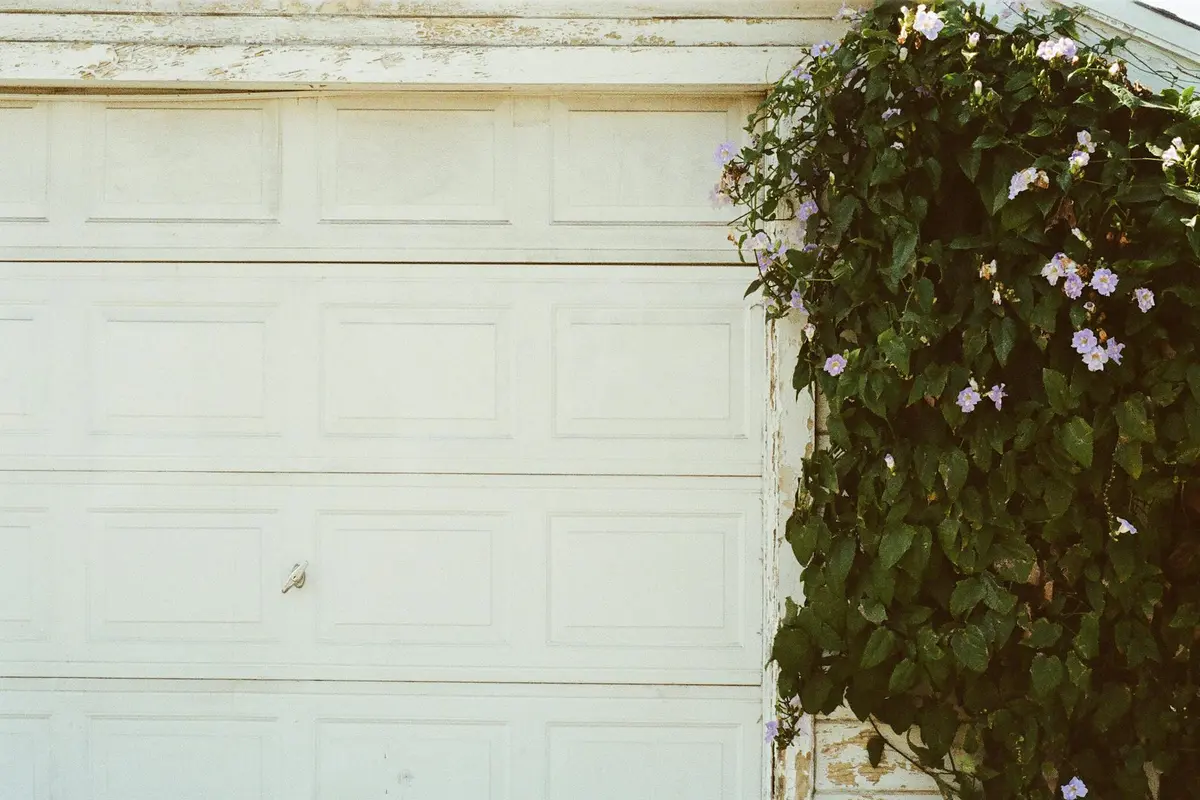 White sectional garage door with ivy vines growing along the right edge
