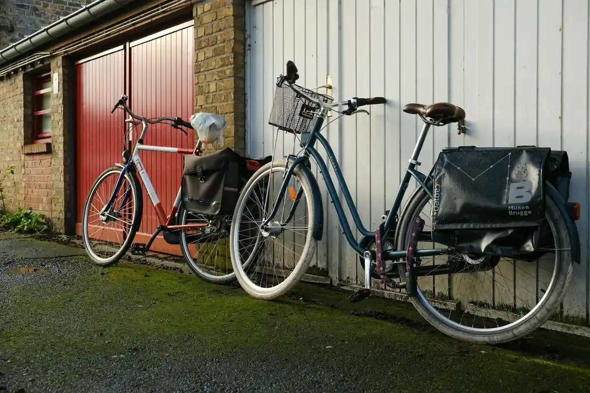 Two bicycles parked against a garage wall: a blue bicycle with a front basket and a red bicycle beside a white garage door, on a mossy ground.