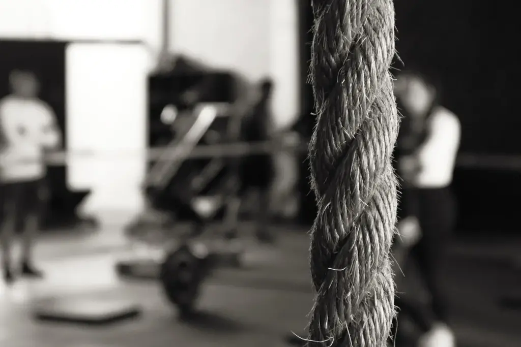 What Do You Really Need for a Garage Gym?