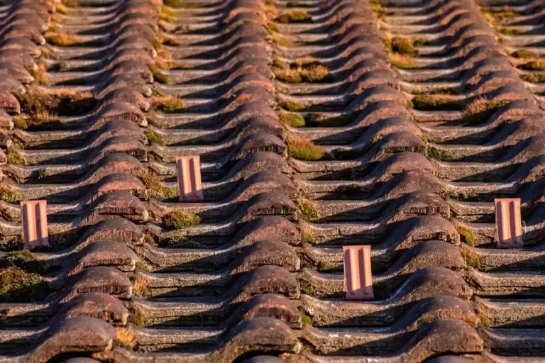 Close-up of a garage roof with curved clay tiles, showing moss between tiles and a few small brick-like blocks resting on top.