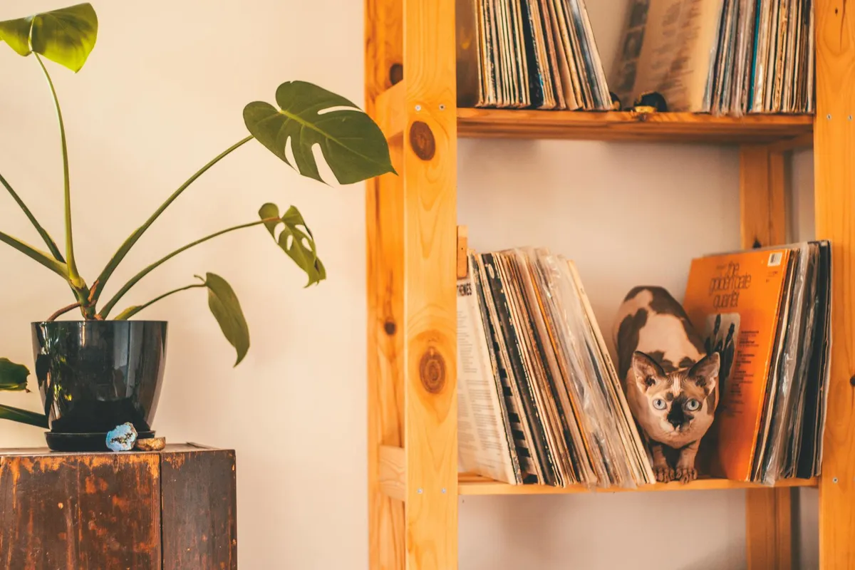 A wooden shelving unit with vinyl records displayed on the shelves, a decorative cat-themed print leaning among the records, and a potted plant on the left.