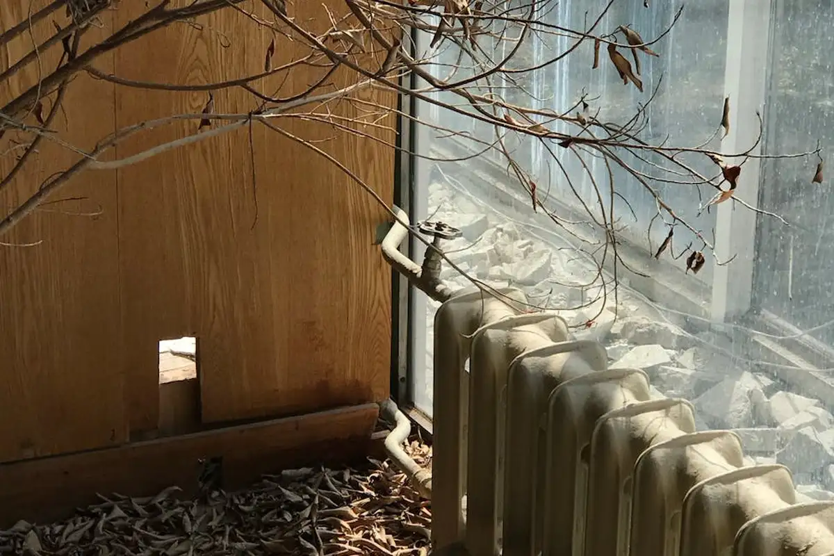 Radiator-style heater positioned next to a window in a garage, with leaves scattered on the floor and bare branches overhead.