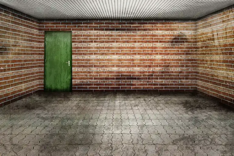 Interior of a brick-walled garage with a green door on the left and a damp, patterned concrete floor.