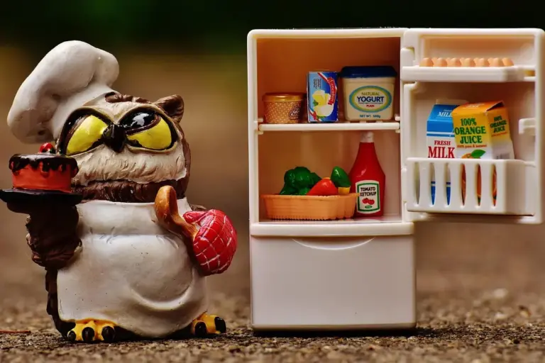 Toy owl wearing a chef hat stands beside a miniature open refrigerator filled with groceries outdoors.