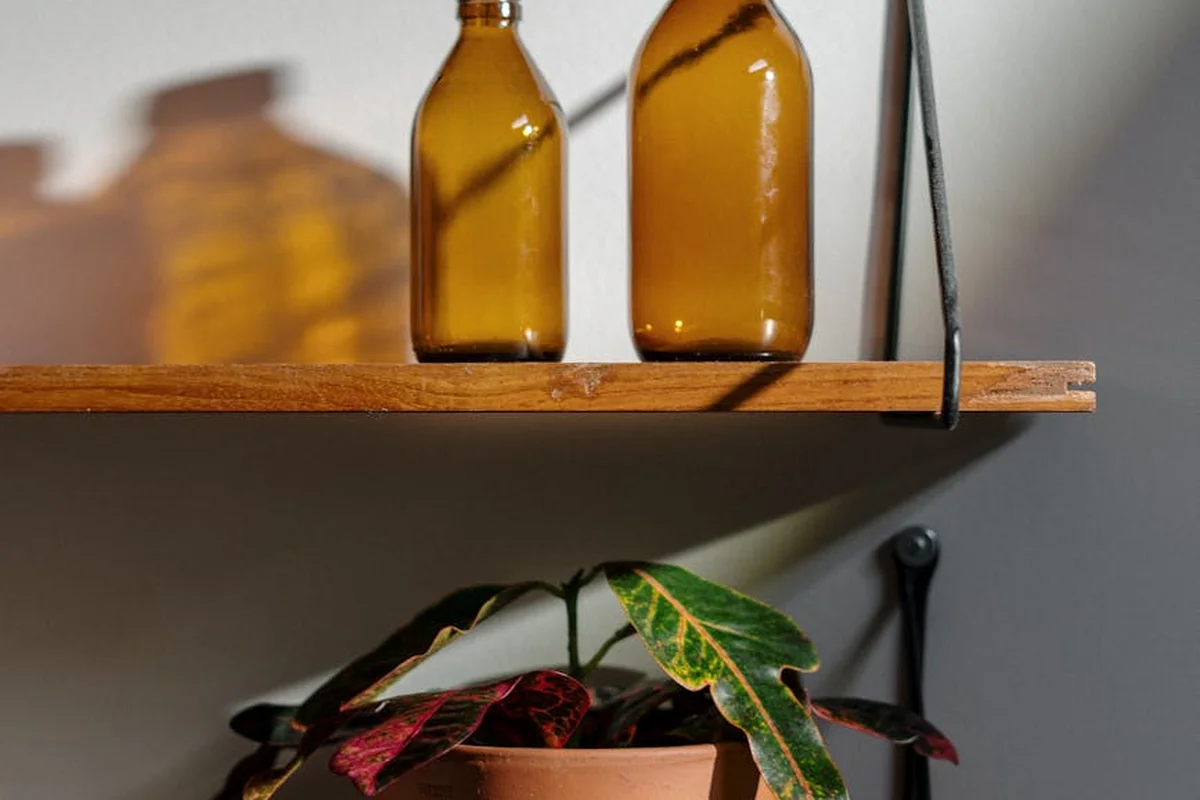 A wooden shelf mounted to a garage wall with a metal bracket; on the shelf are two brown glass bottles, and a potted plant sits below.
