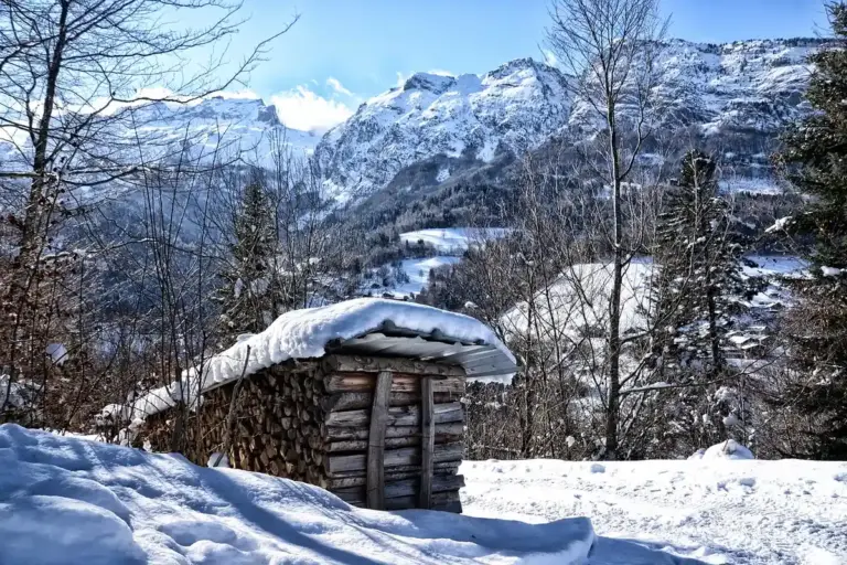 Snow-covered woodpile beside a small wooden shed in a winter landscape with trees and distant mountains.