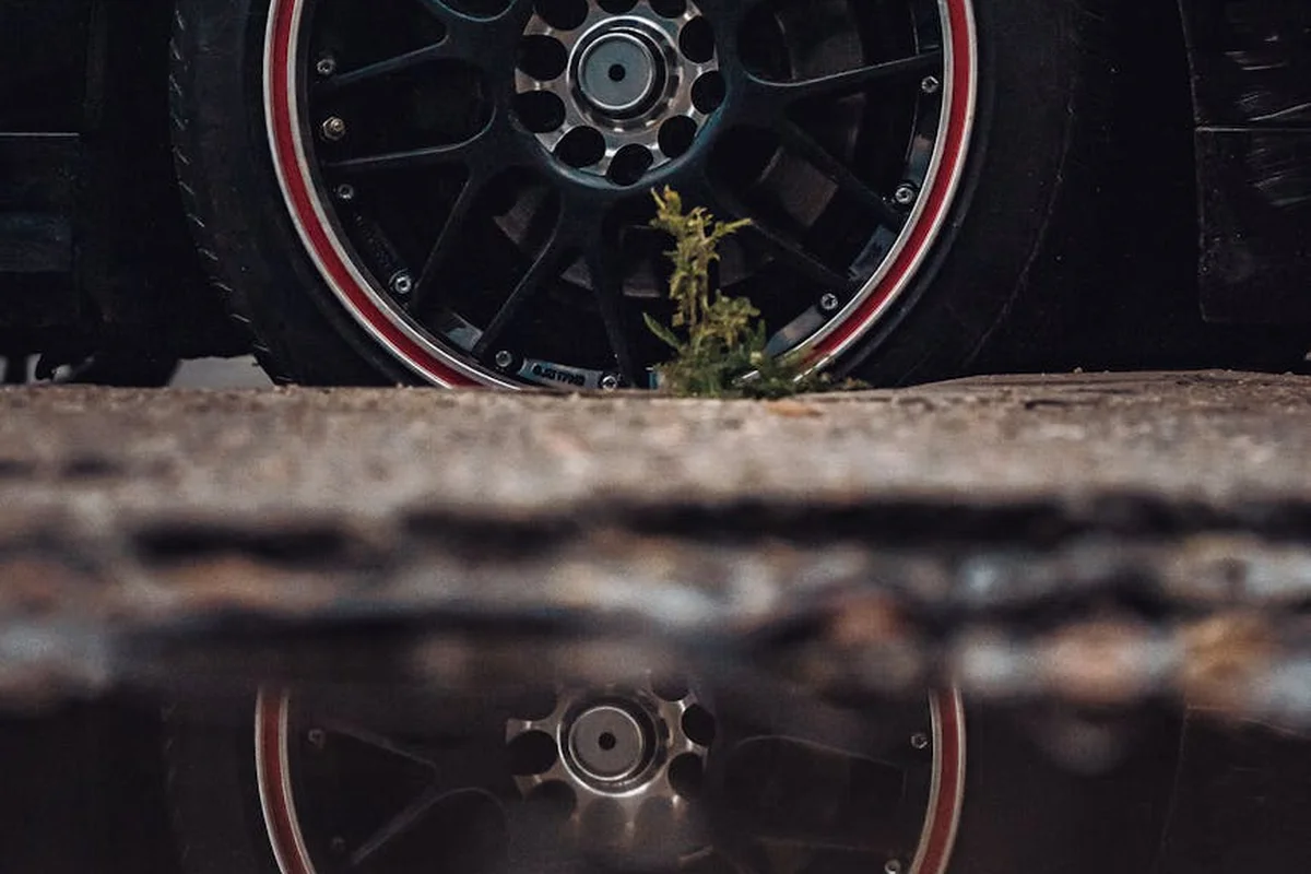 Close-up of a wet garage floor with a car wheel in the background and a small plant growing near the tire, illustrating moisture and potential condensation.