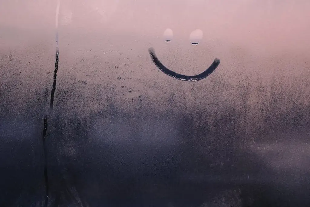 Is Your Garage Suffering From Hidden Moisture Damage?