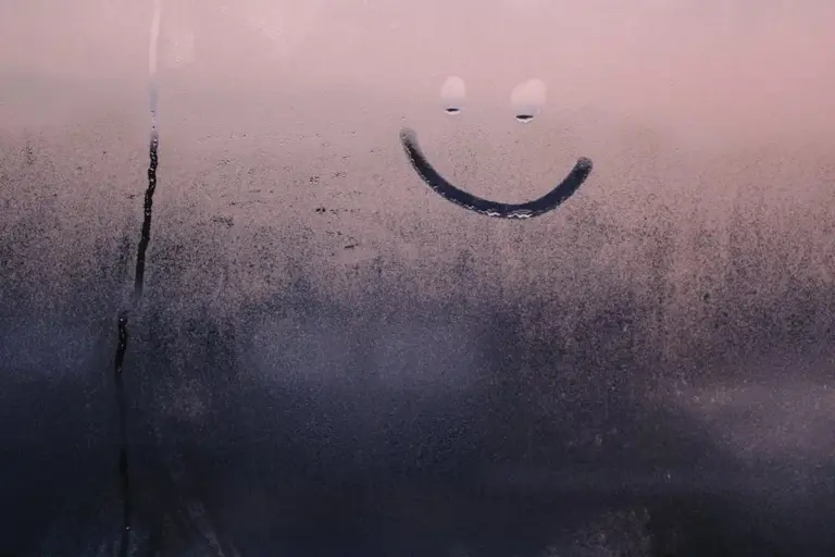 Condensation on a glass garage window forming a smiley face pattern.