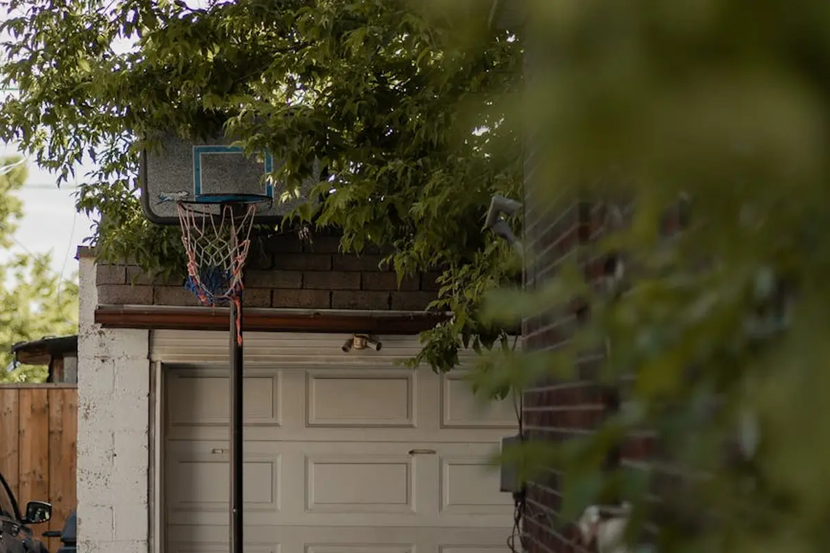 Residential garage with a closed door and a basketball hoop mounted above, partially obscured by tree branches.