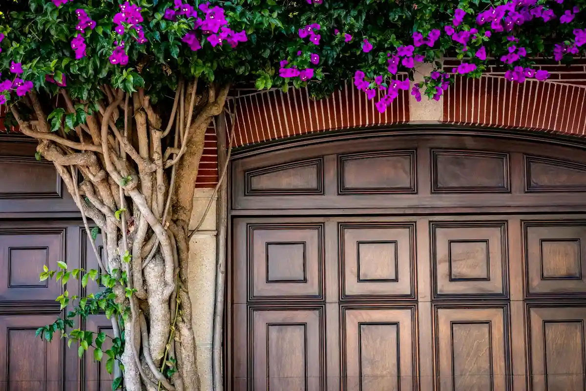 Wooden garage doors framed by twisting vines and purple flowers