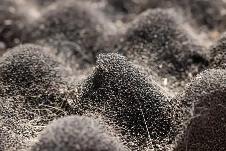 Close-up of dark, fuzzy insulation fibers forming rounded clusters.