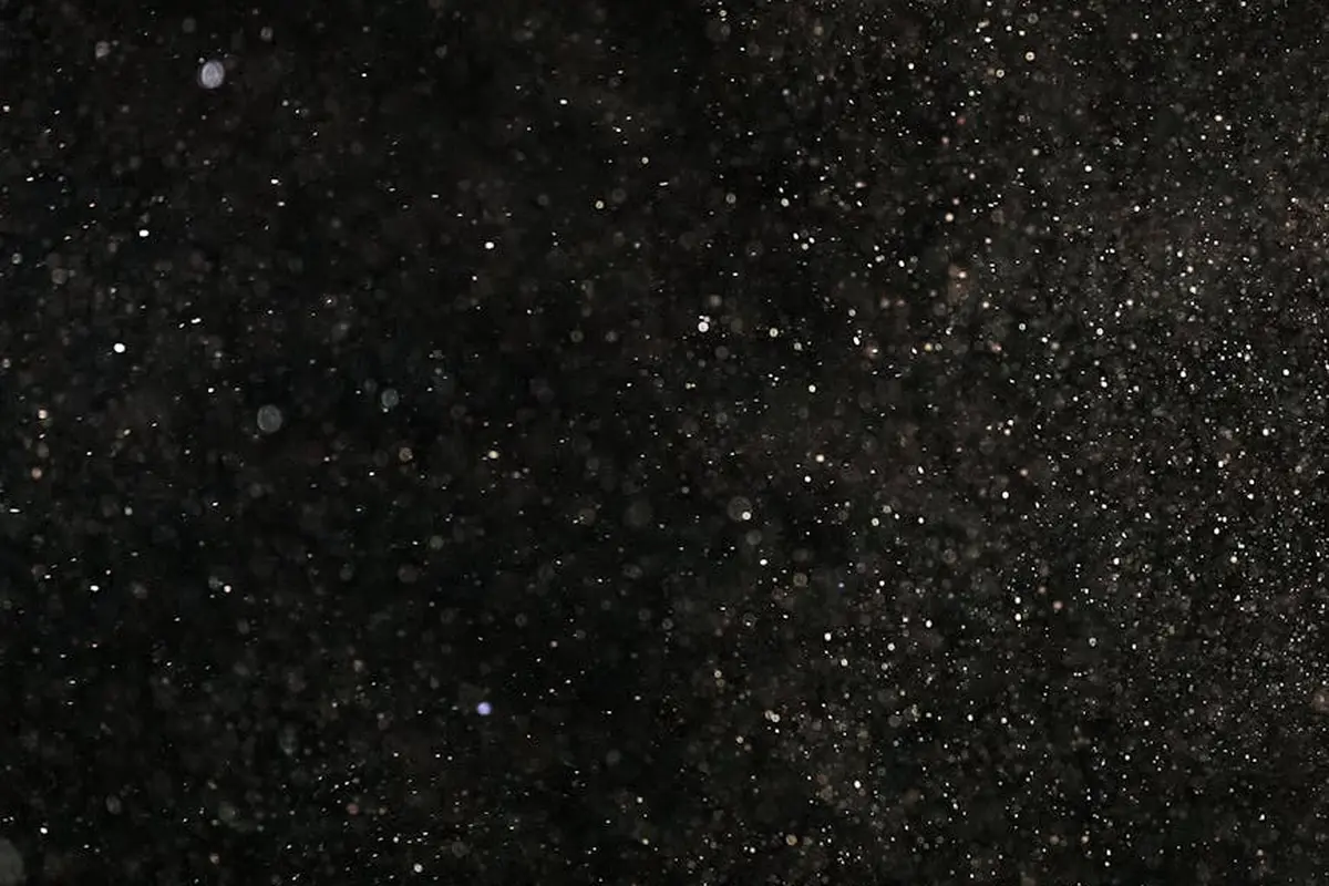 Star-filled night sky